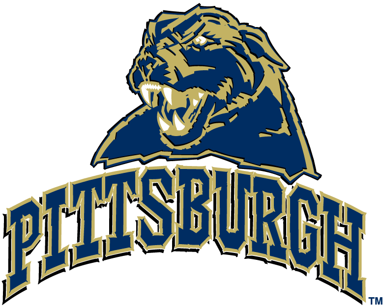 Pittsburgh Panthers 2005-2015 Alternate Logo iron on transfers for T-shirts